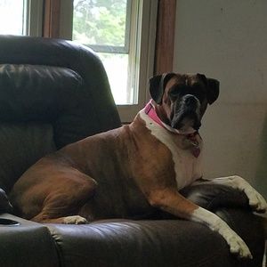 Meet your Posher, Jim